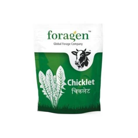 chiclet foragen|CHICKLET .